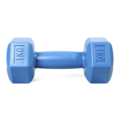 ASG Manual – 1 kg