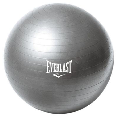 Dette er en Everlast Fitnessbold ABS 65 cm, bolden er blå