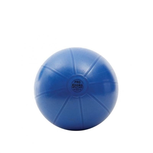 TOORX Antiburst Treningsball - 55 cm