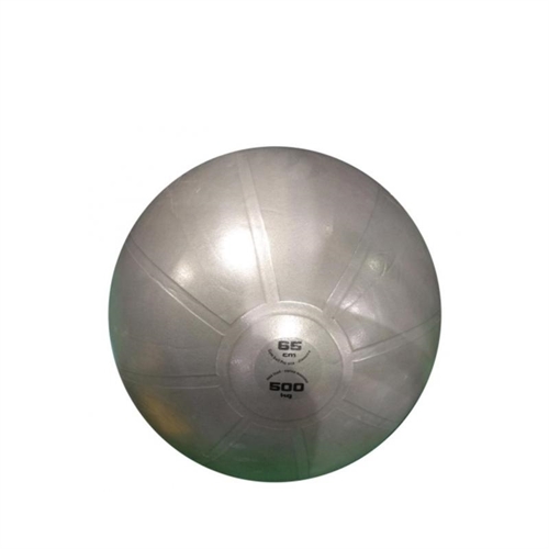 Toorx ABS Treningsball - 65 cm
