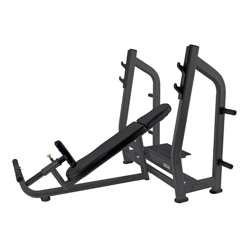 Toorx WBX-3800 Treningsbenk